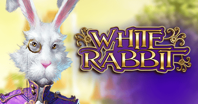 White Rabbit at Forbes Casino